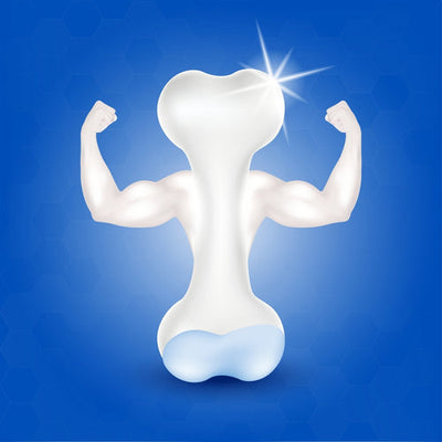 Strong bone, Importance of strong bones and role of calcium in strong bones